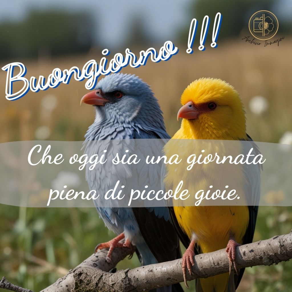 immagini buongiorno con uccellini 18