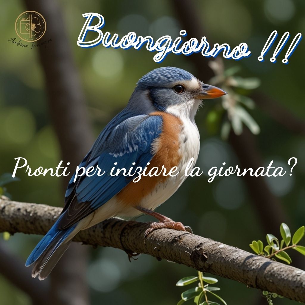 immagini buongiorno con uccellini 2