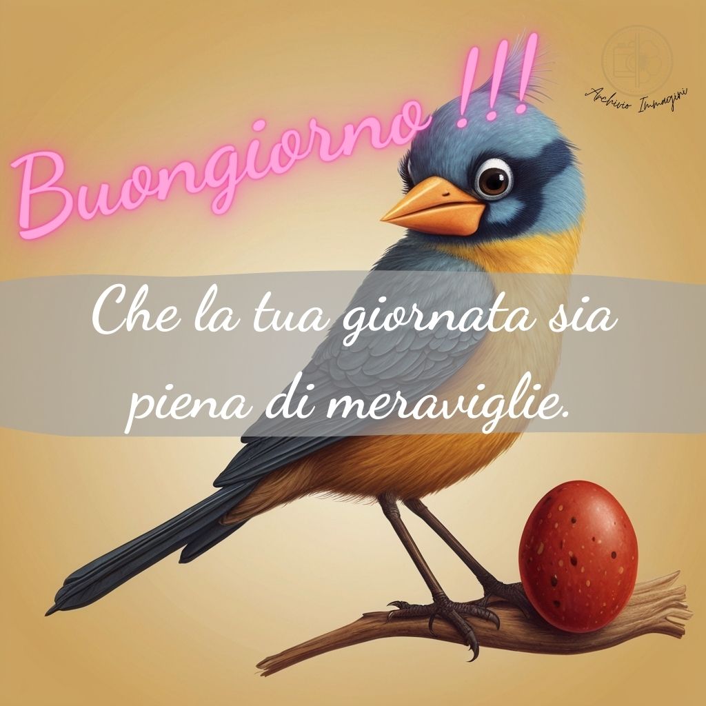 immagini buongiorno con uccellini 27