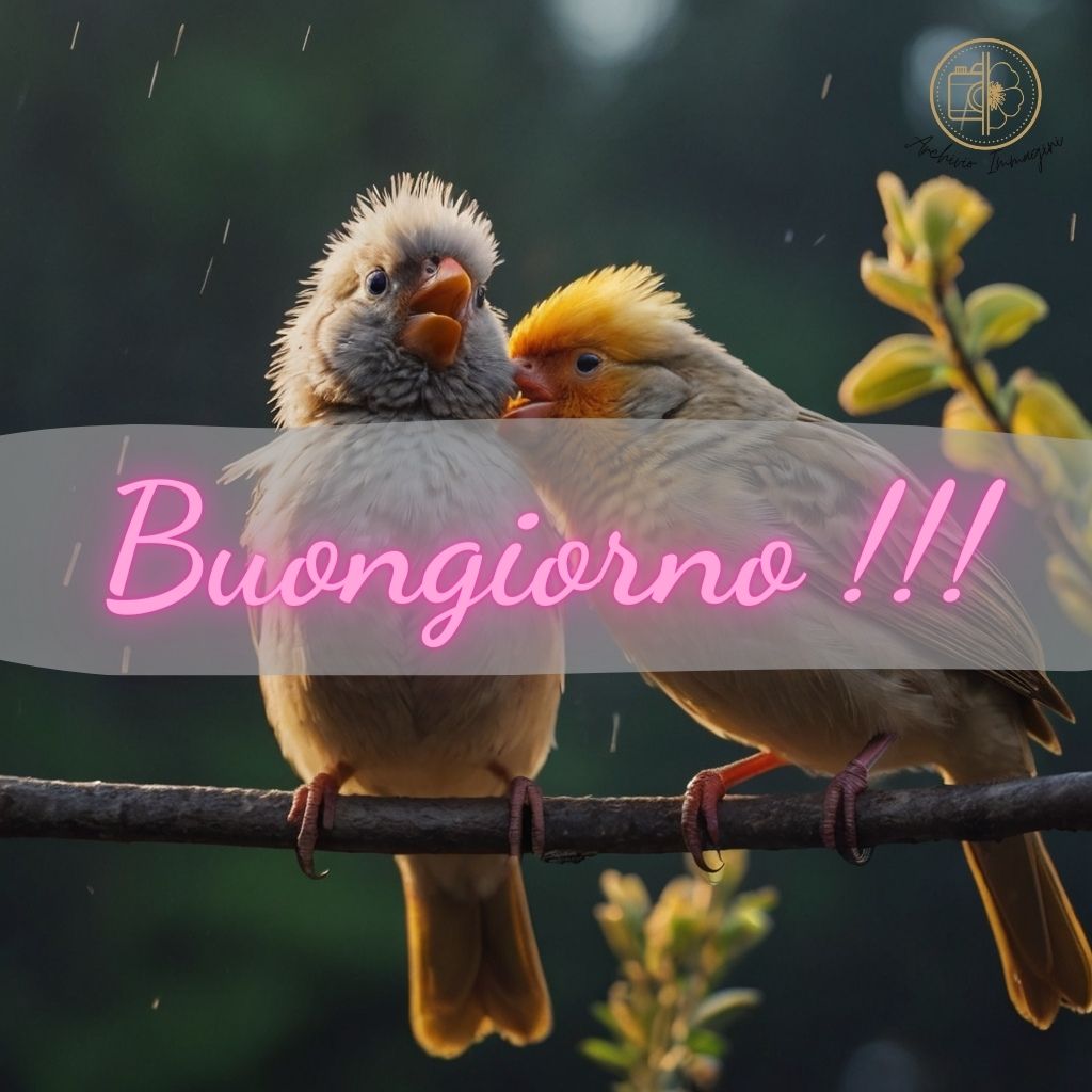 immagini buongiorno con uccellini 28