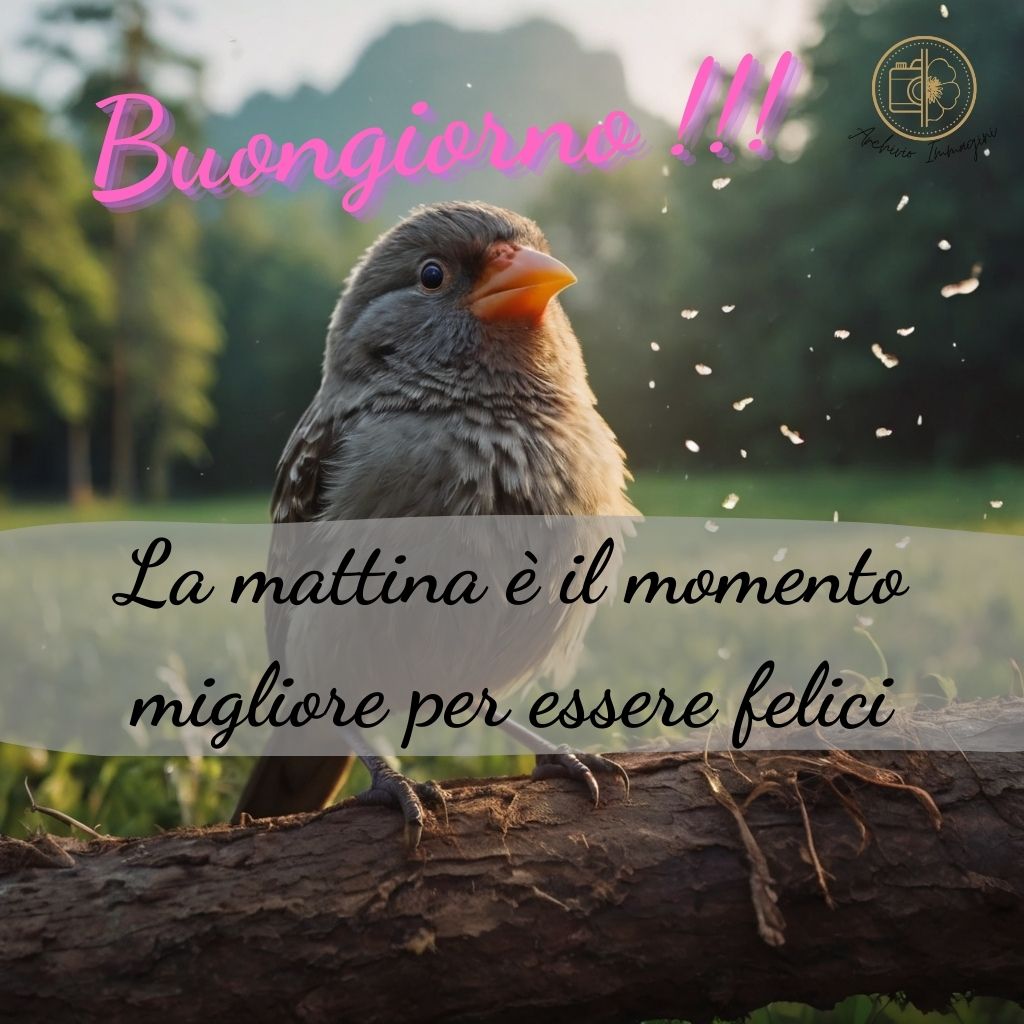 immagini buongiorno con uccellini 31