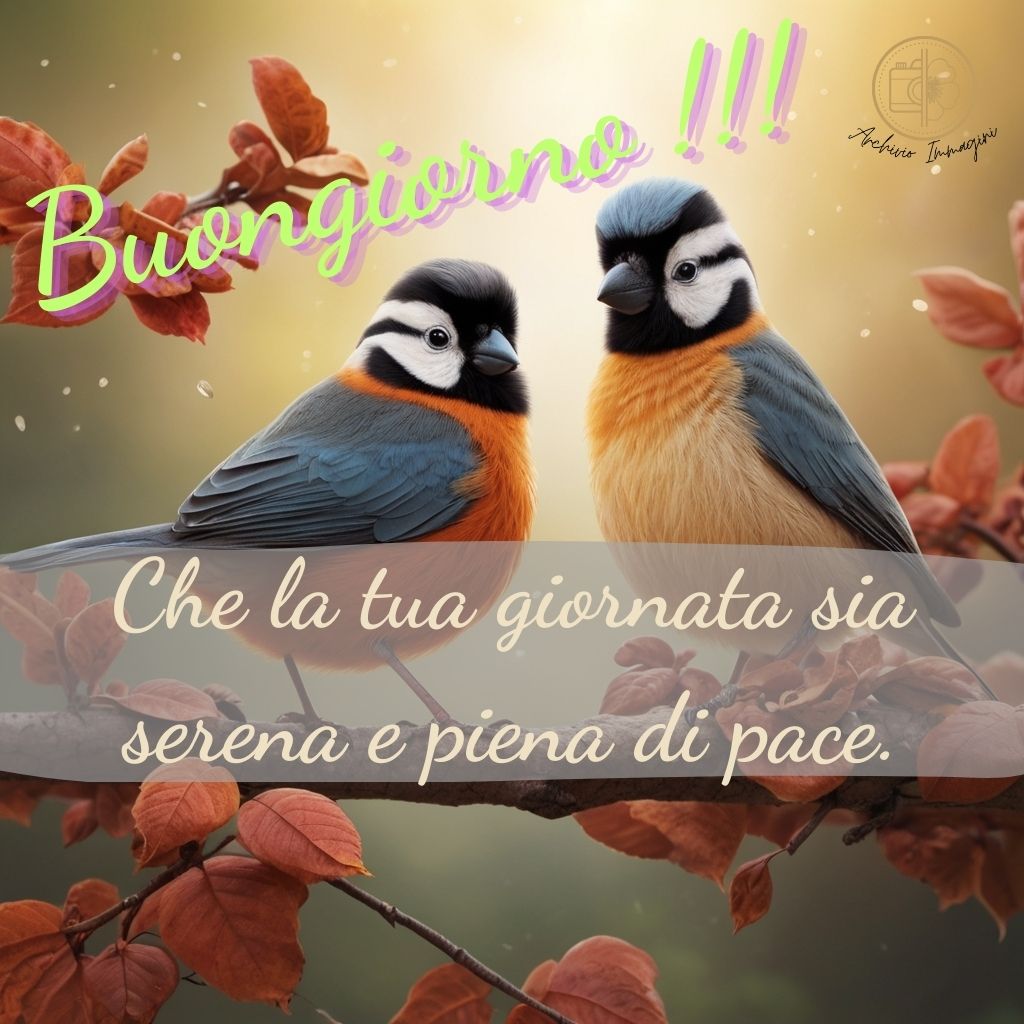 immagini buongiorno con uccellini 32