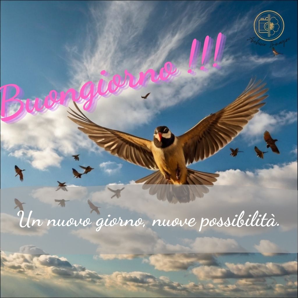 immagini buongiorno con uccellini 34