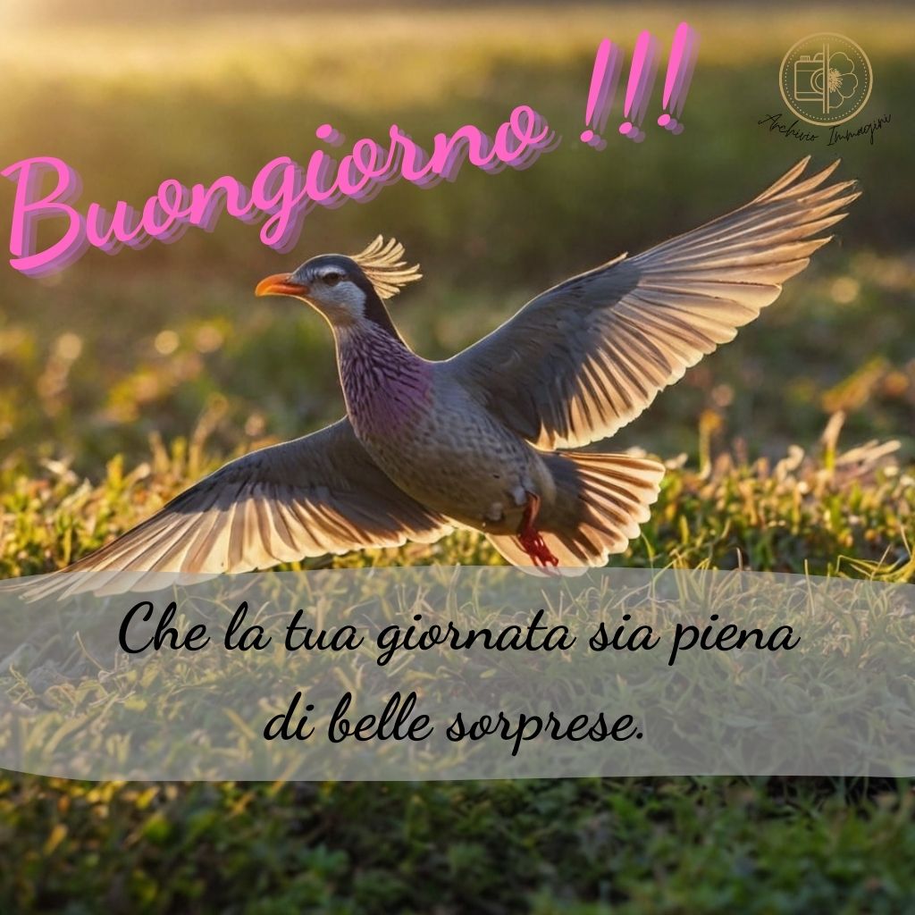 immagini buongiorno con uccellini 35