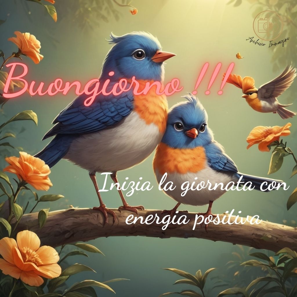 immagini buongiorno con uccellini 42