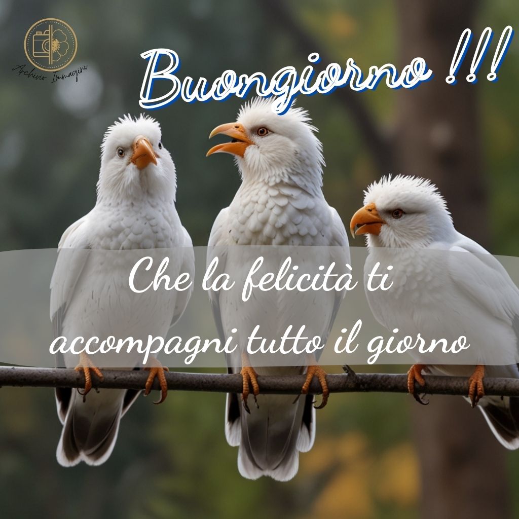 immagini buongiorno con uccellini 6