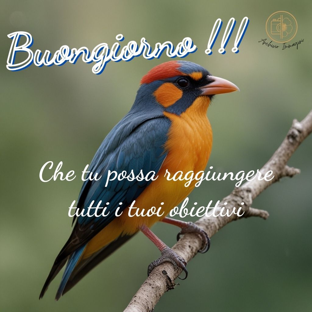 immagini buongiorno con uccellini 7