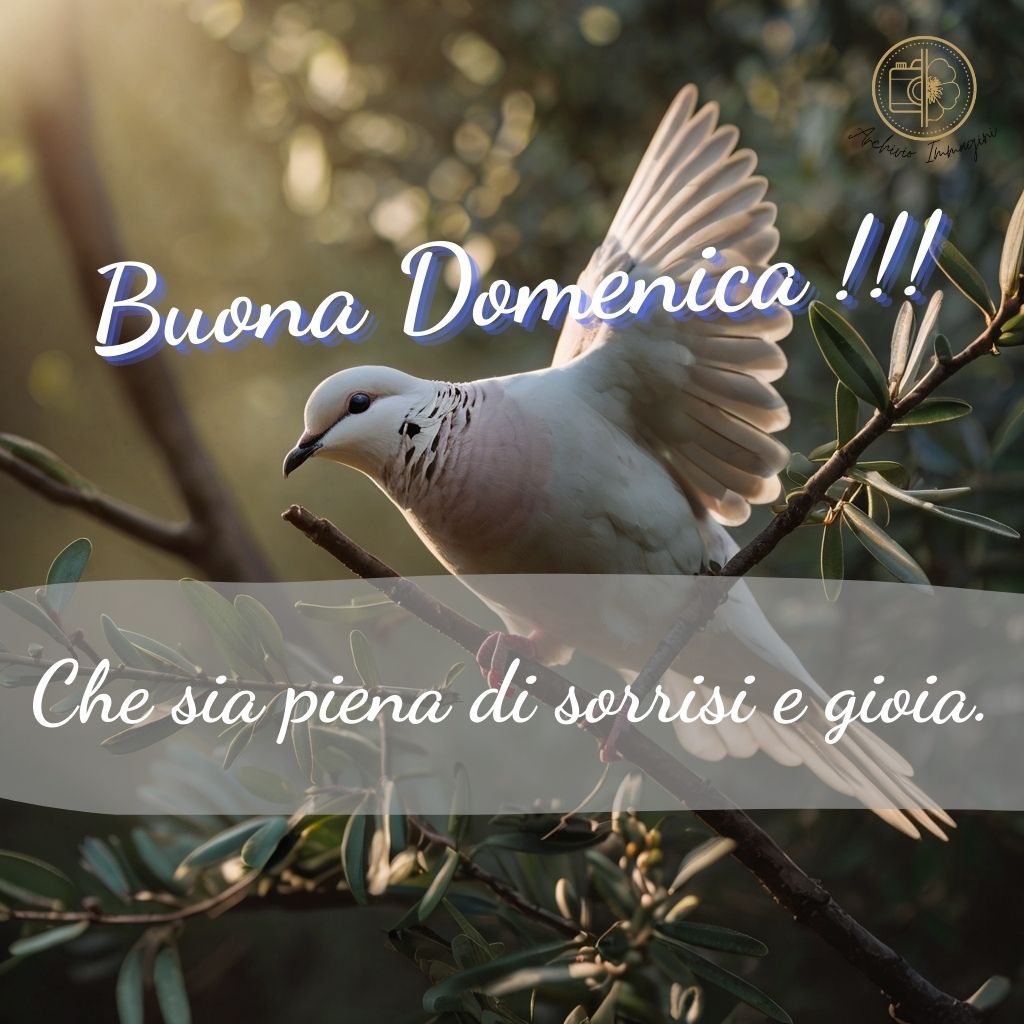 immagini buongiorno domenica 118 1