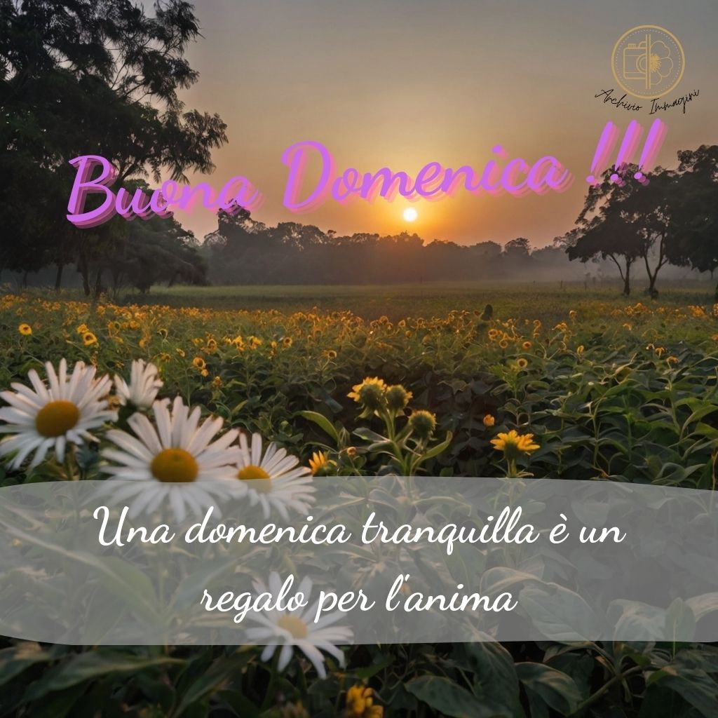 immagini buongiorno domenica 50 1