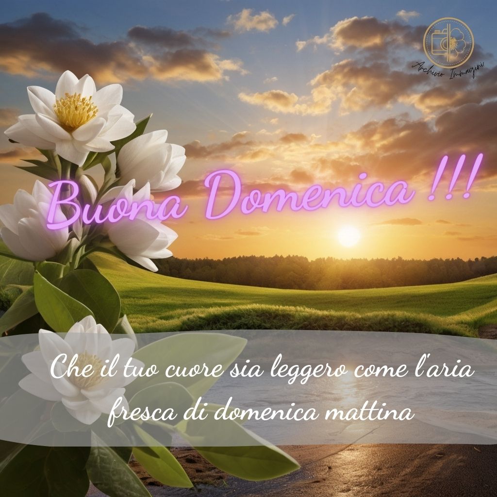 immagini buongiorno domenica 55 1