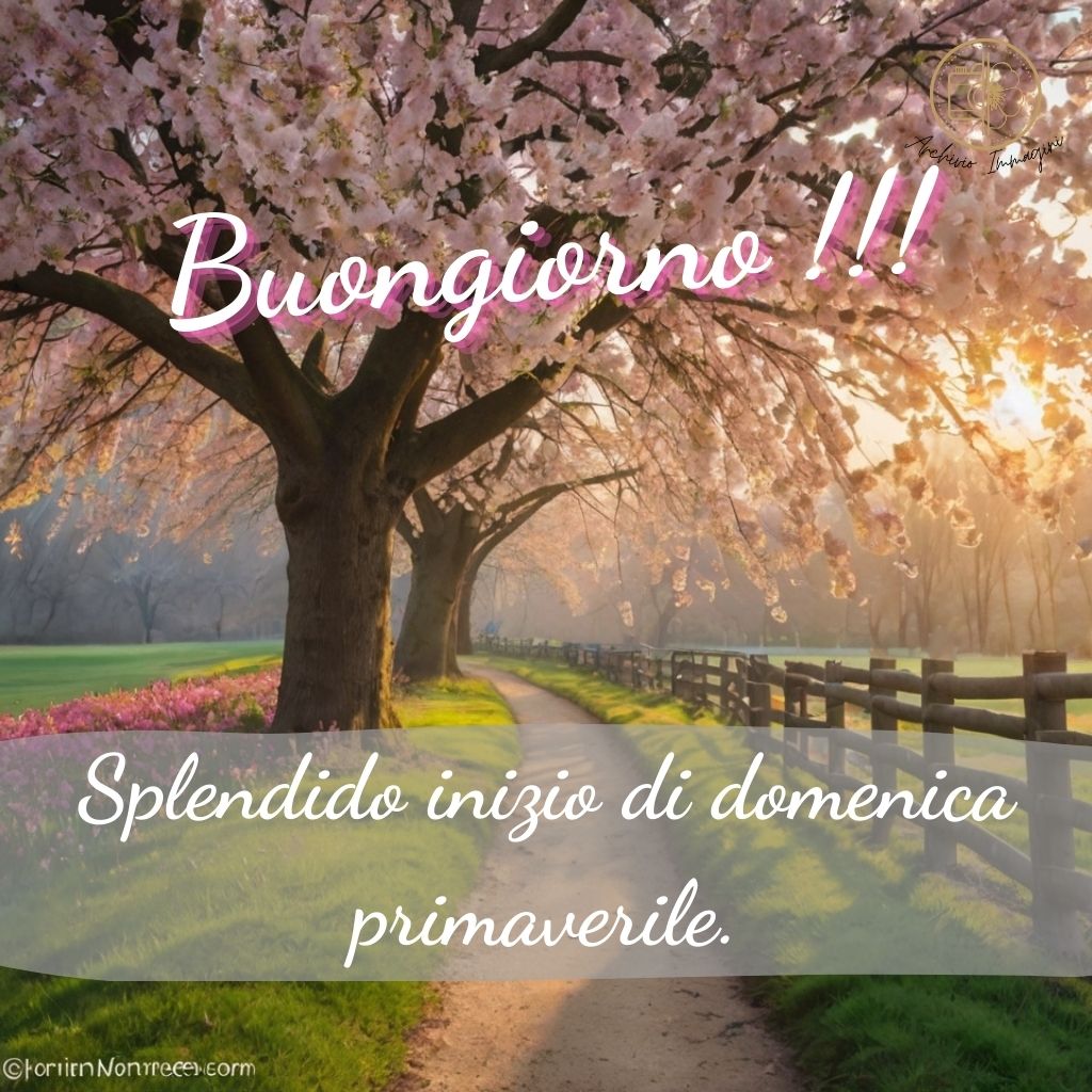 immagini buongiorno domenica 75 1