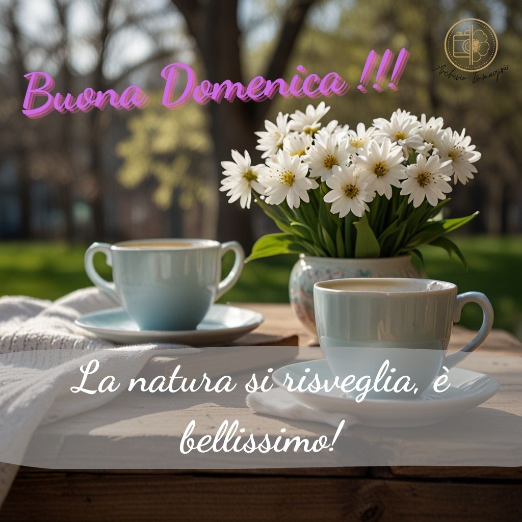 immagini buongiorno domenica 81 1