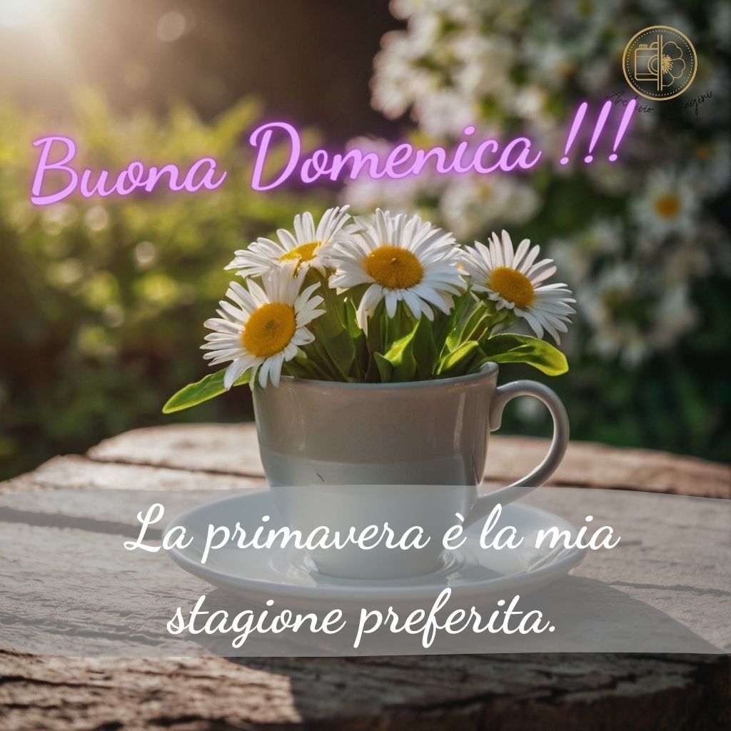 immagini buongiorno domenica 82 1