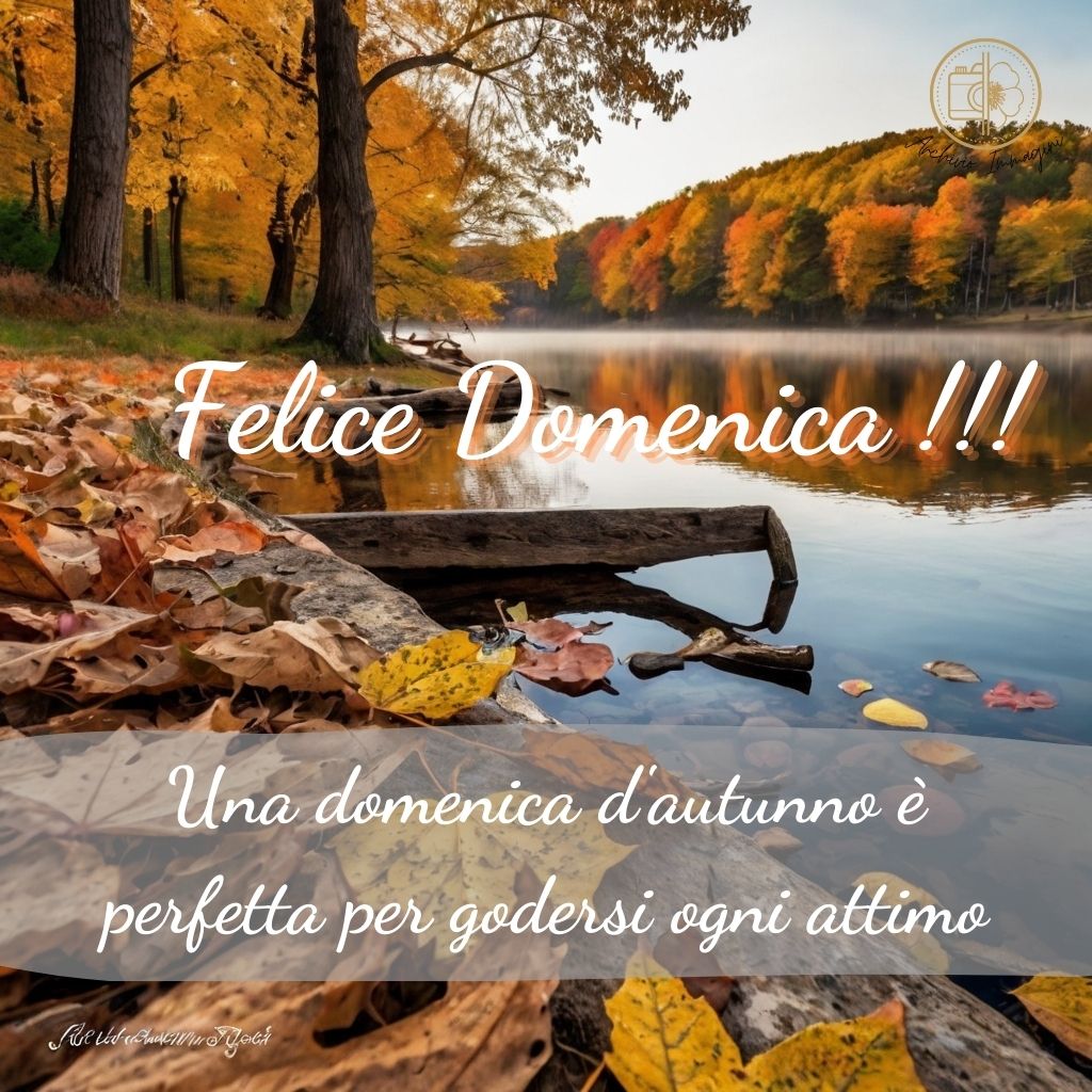 immagini buongiorno domenica 98 1