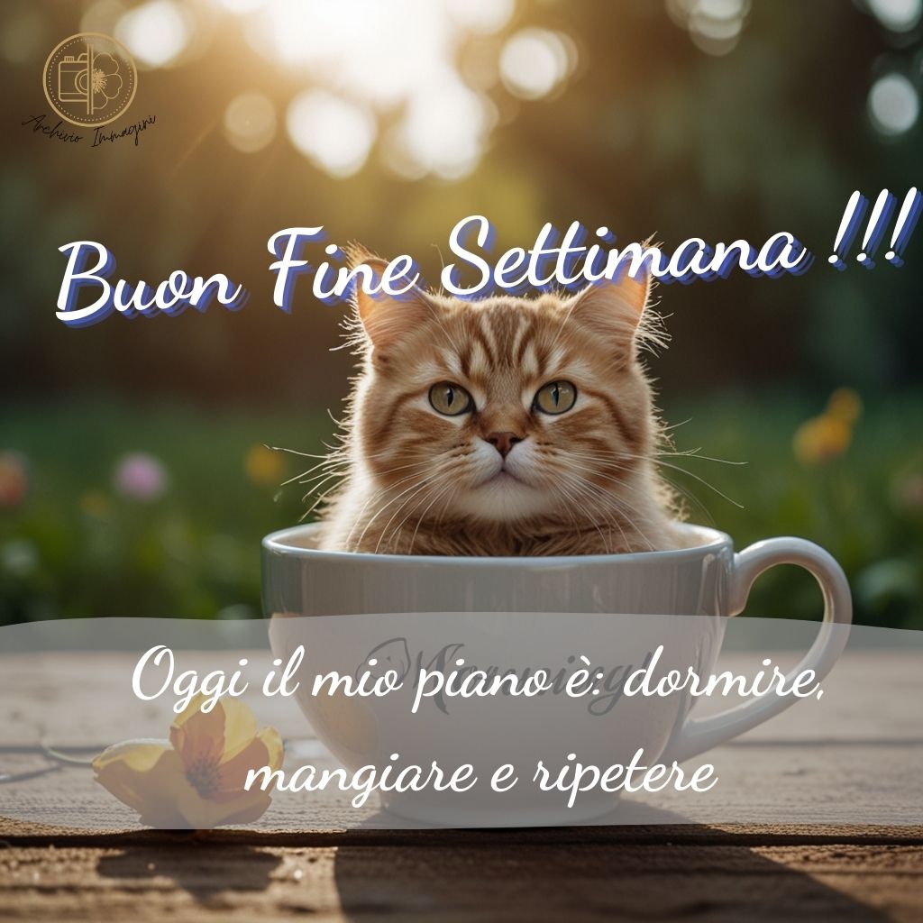 immagini buongiorno fine settimana 10 1