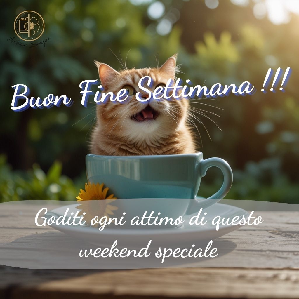 immagini buongiorno fine settimana 13 1