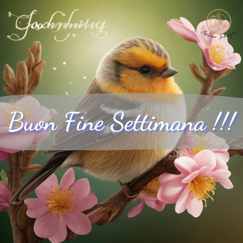 immagini buongiorno fine settimana 16 1