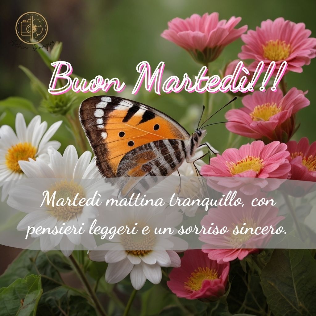 immagini buongiorno martedi 34 1