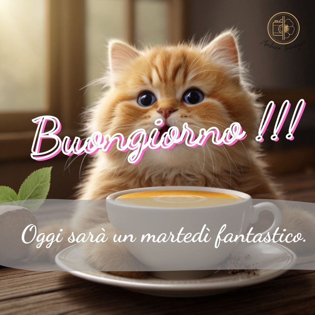 immagini buongiorno martedi 4 1