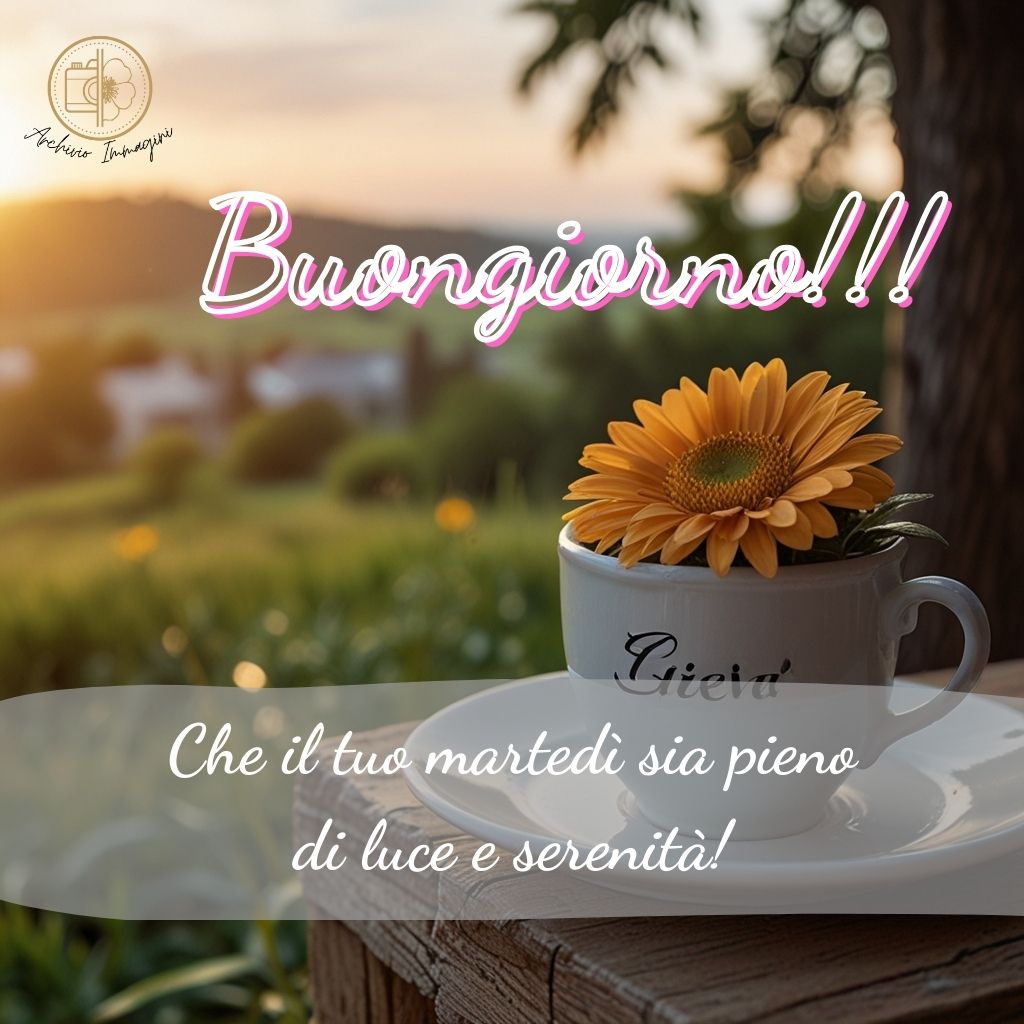 immagini buongiorno martedi 84