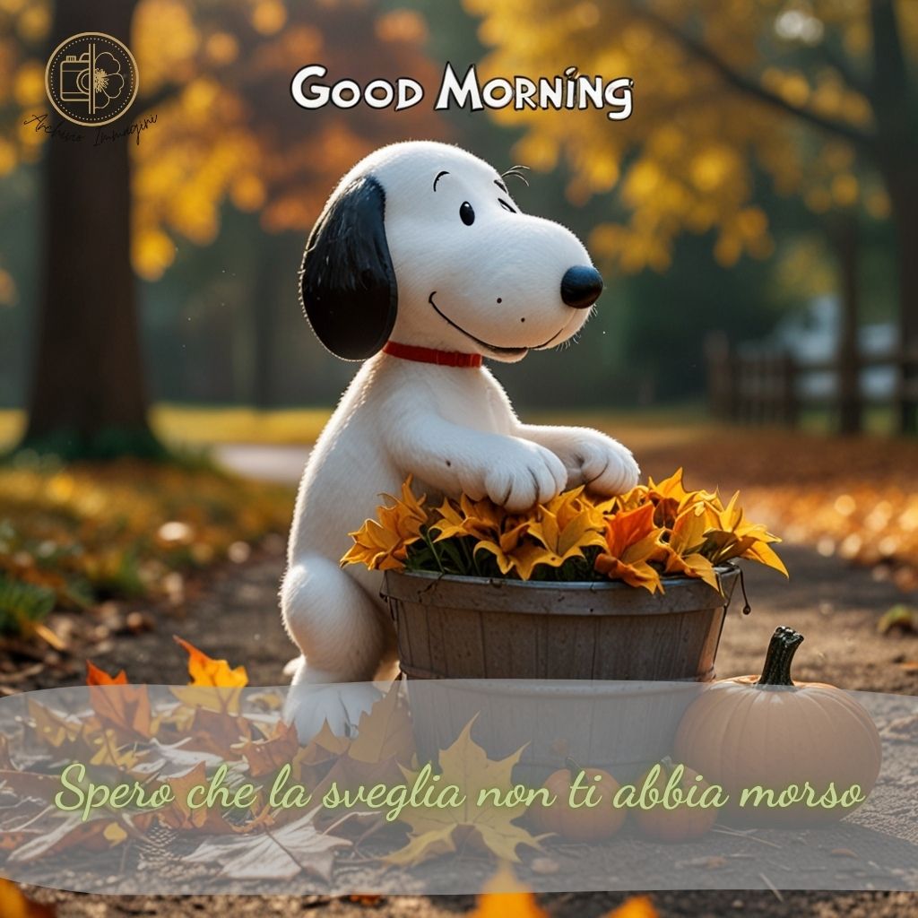 immagini buongiorno snoopy 81 1