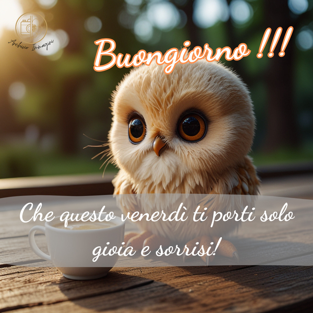 immagini buongiorno venerdi 21 1