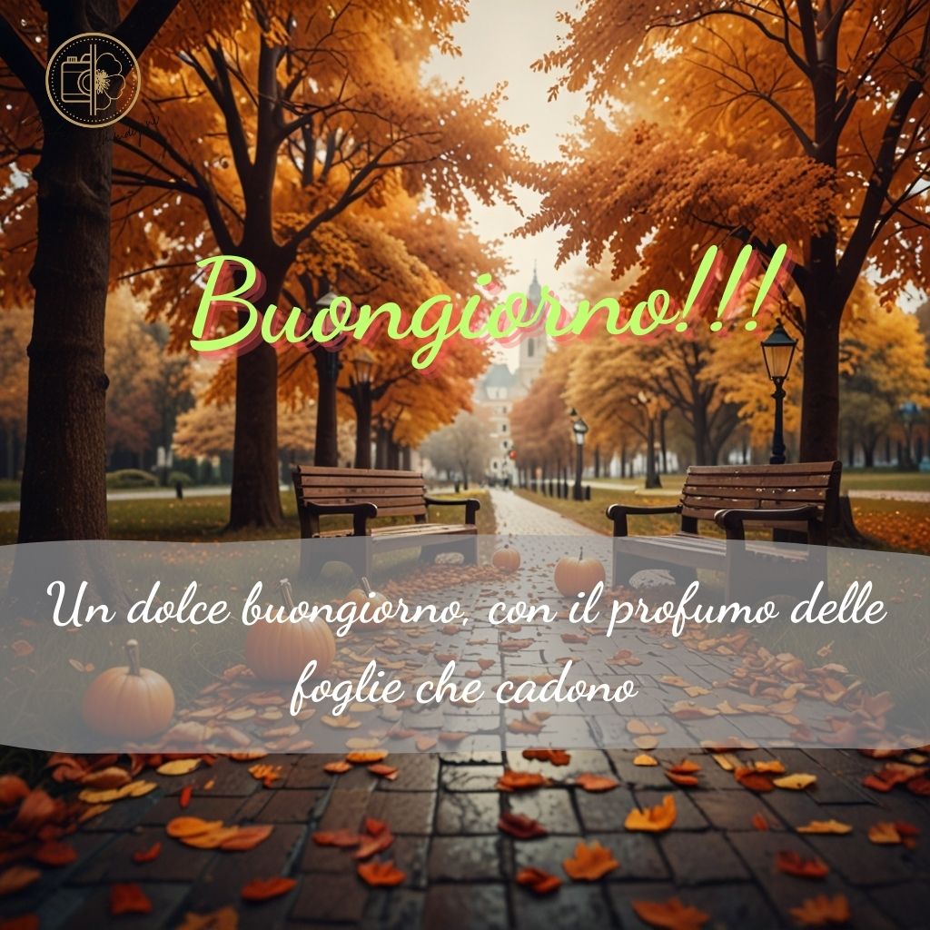 immagini buongiorno autunnali 31