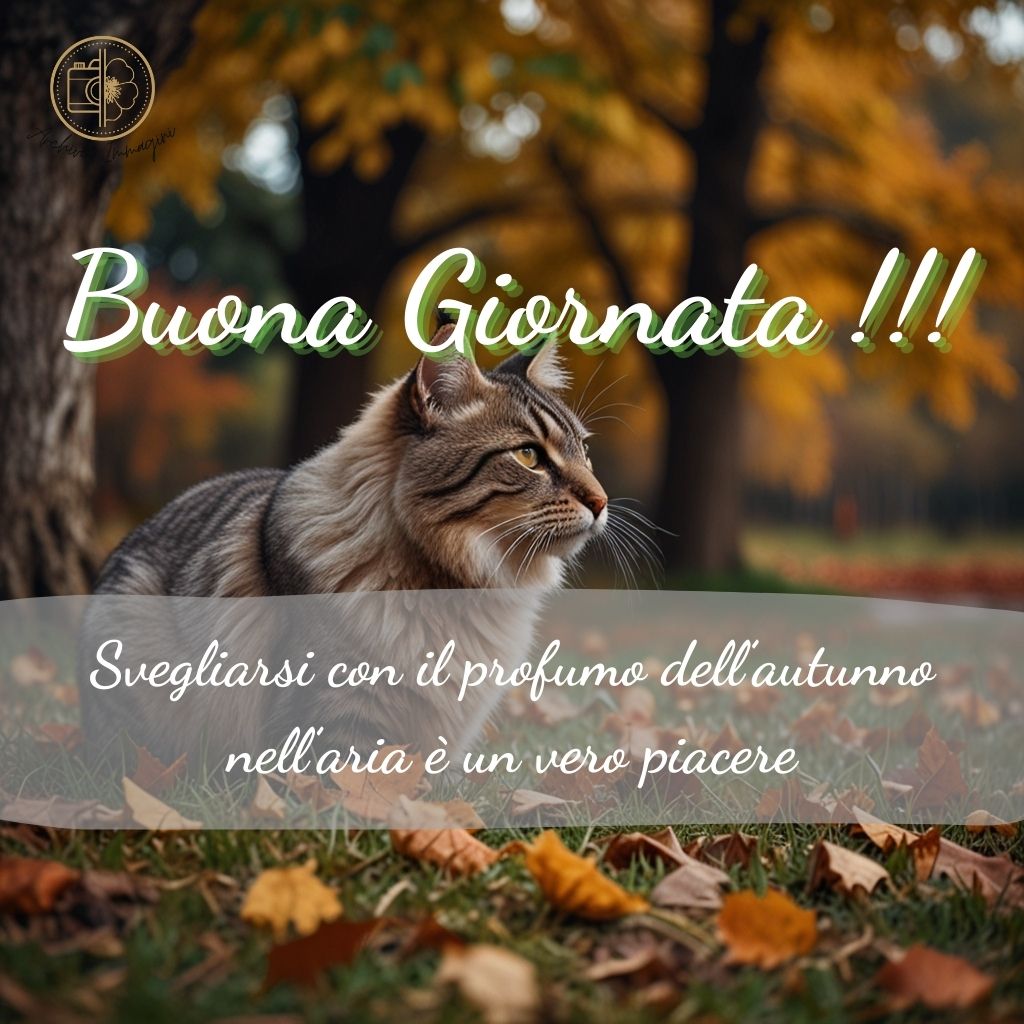 immagini buongiorno autunnali 46