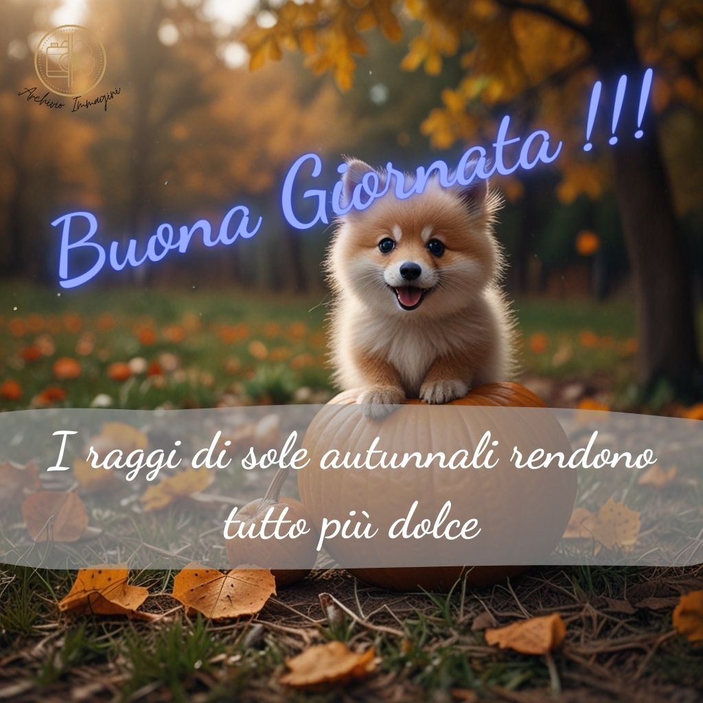 immagini buongiorno autunnali 51