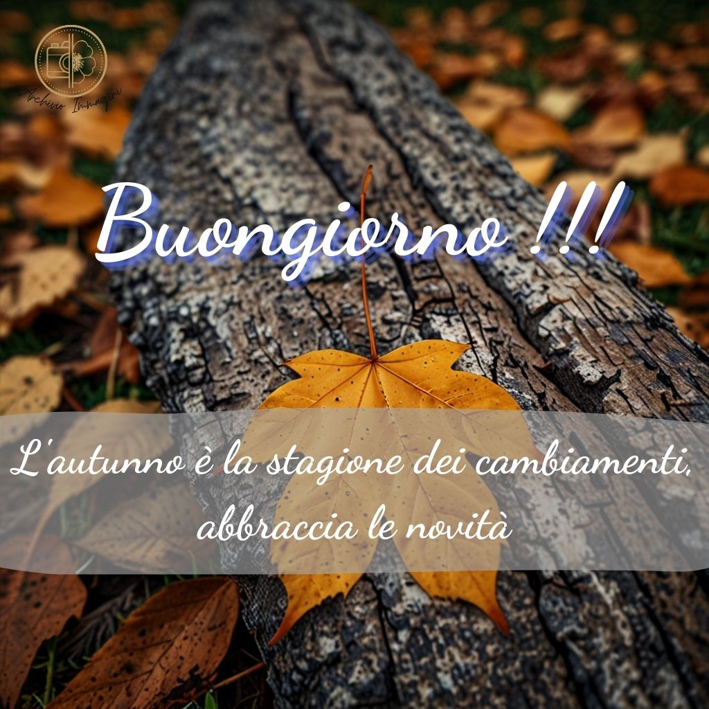 immagini buongiorno autunnali 9