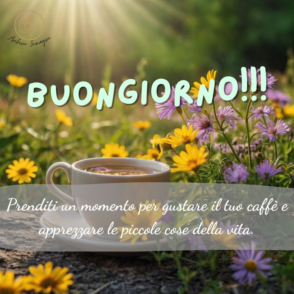 immagini buongiorno con fiori di campo 31