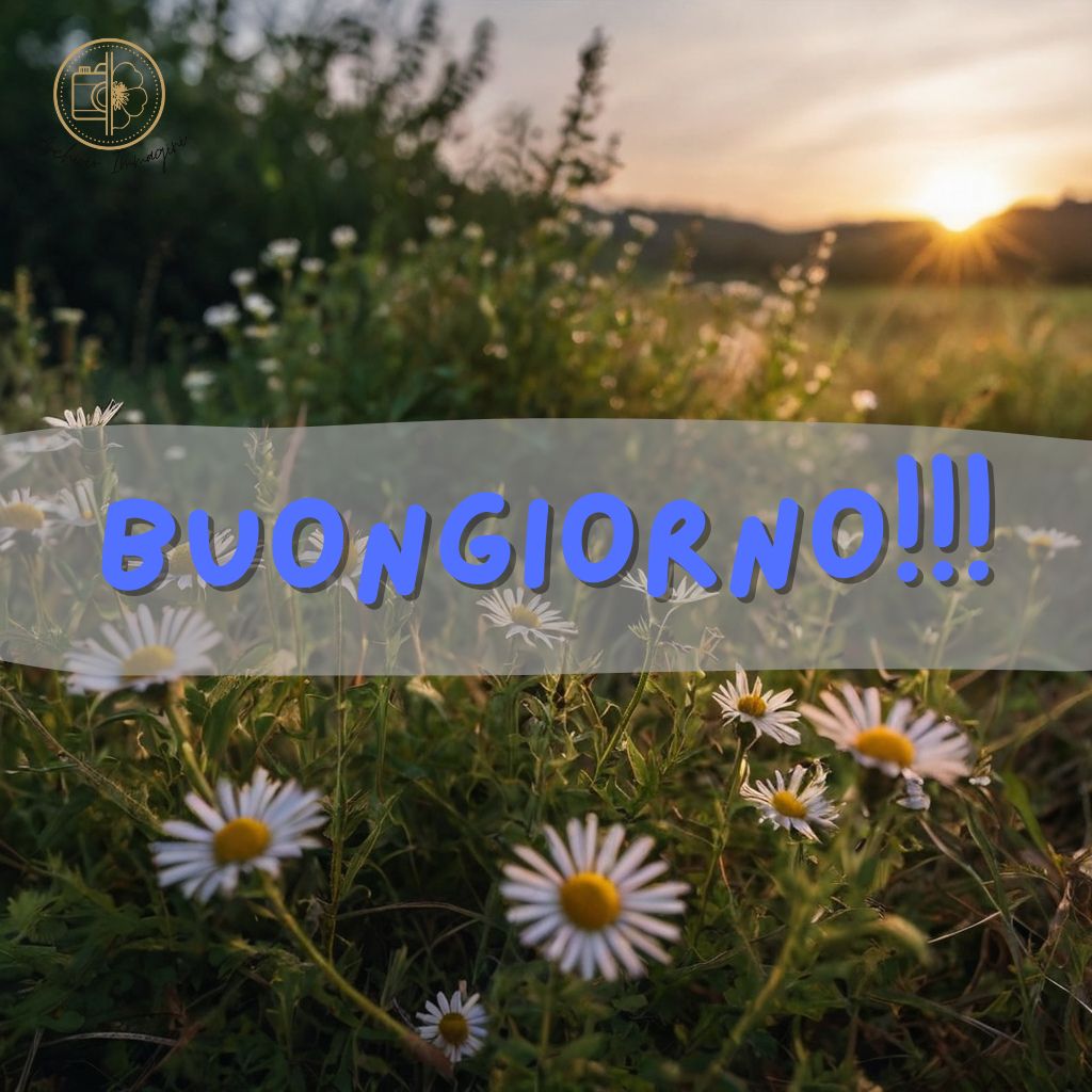 immagini buongiorno con fiori di campo 32