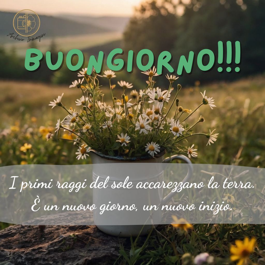 immagini buongiorno con fiori di campo 36