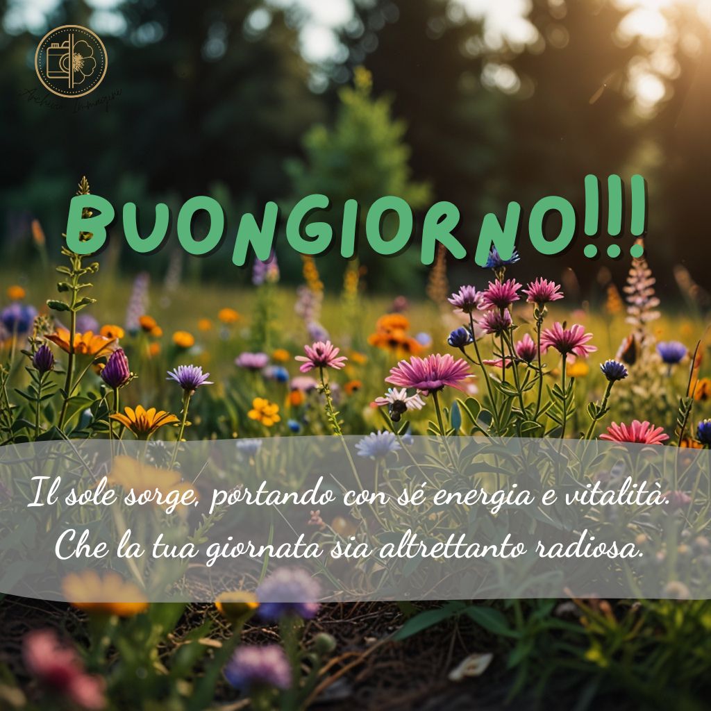 immagini buongiorno con fiori di campo 38