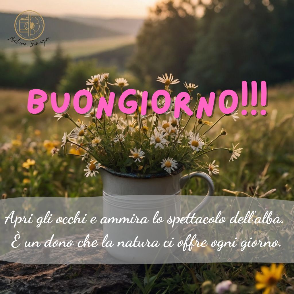 immagini buongiorno con fiori di campo 44