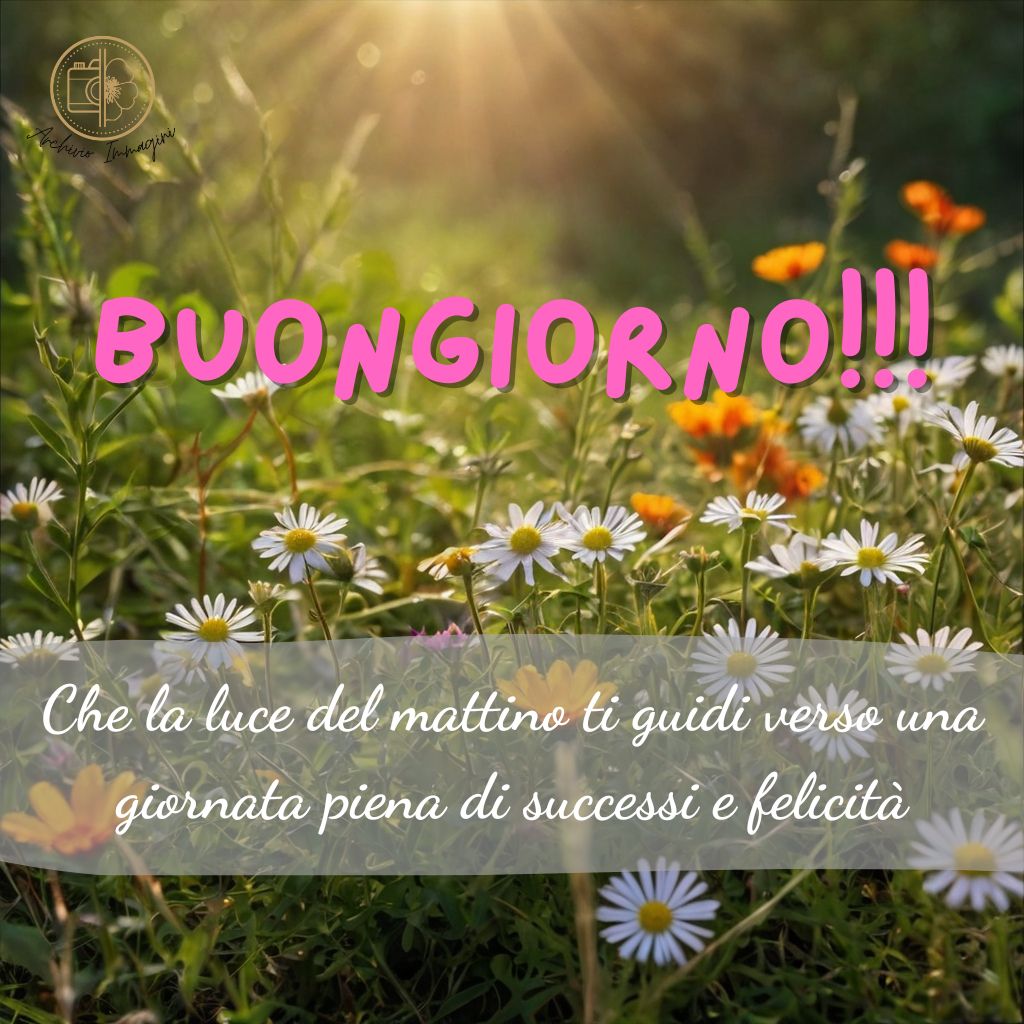 immagini buongiorno con fiori di campo 45