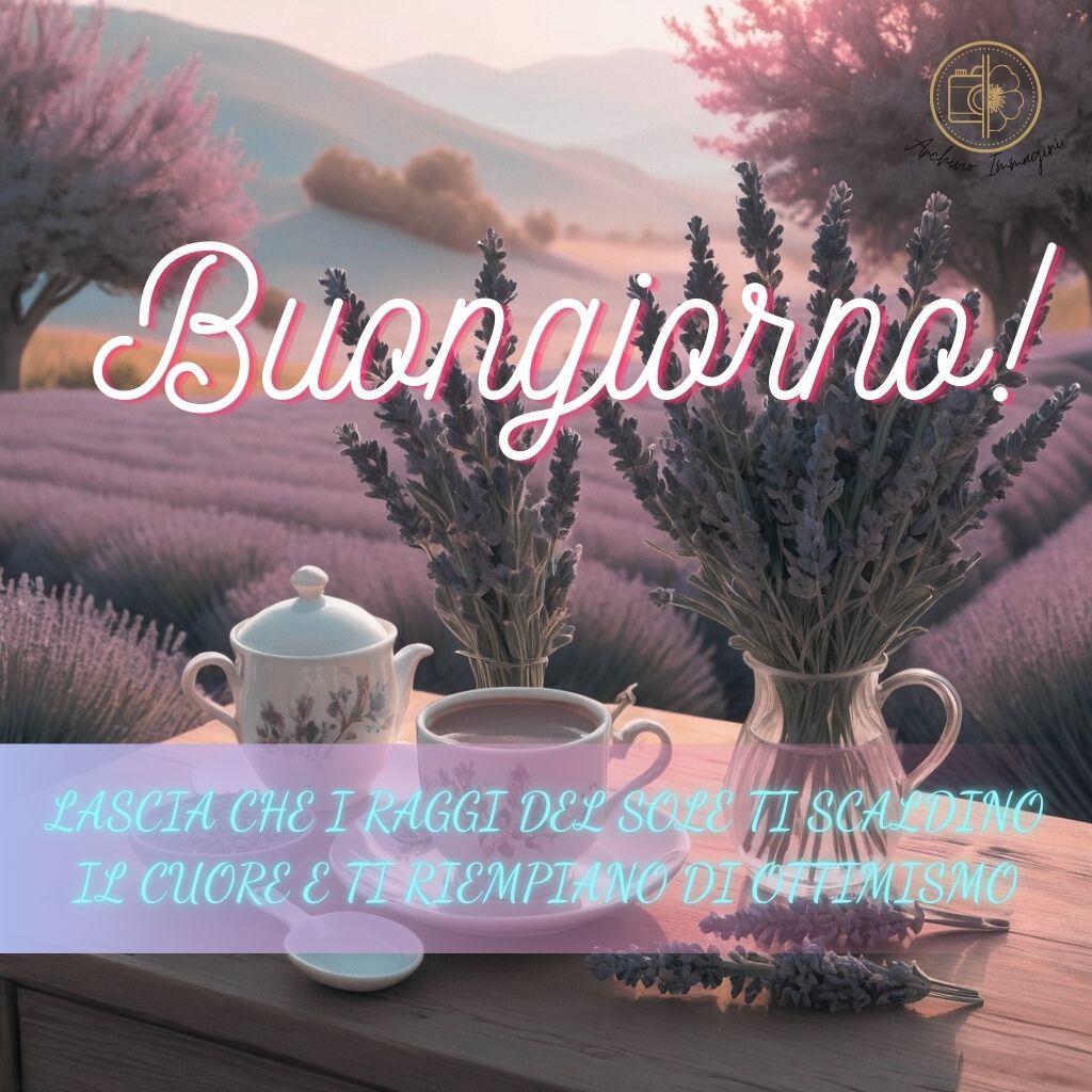 immagini buongiorno con fiori di lavanda 13