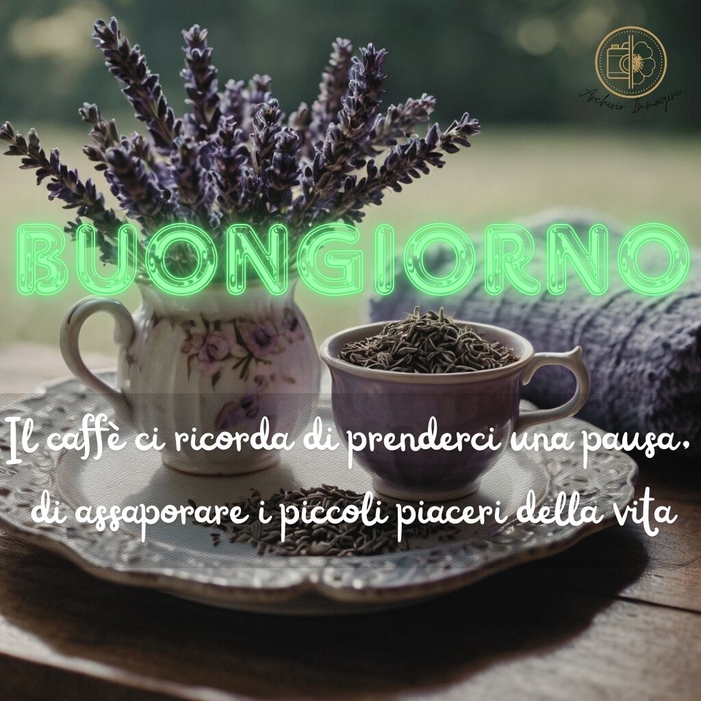 immagini buongiorno con fiori di lavanda 23