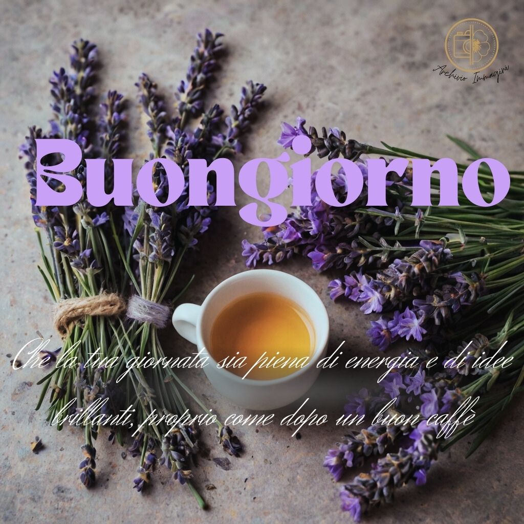 immagini buongiorno con fiori di lavanda 25