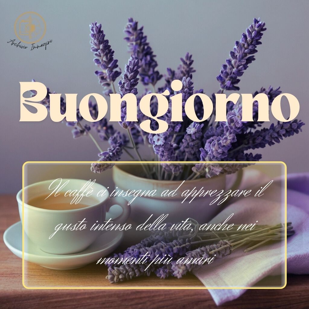 immagini buongiorno con fiori di lavanda 29