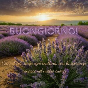 immagini buongiorno con fiori di lavanda 3