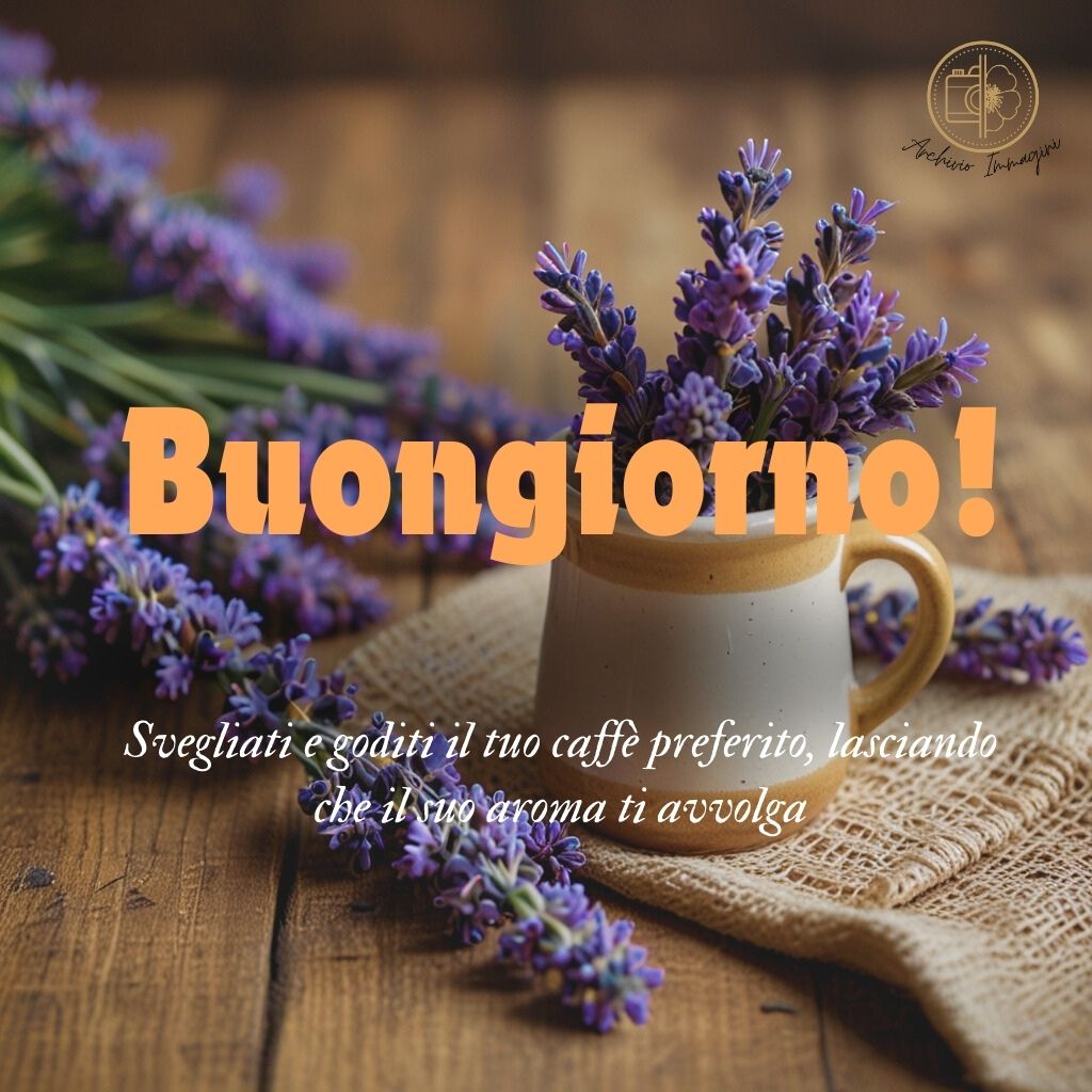 immagini buongiorno con fiori di lavanda 30