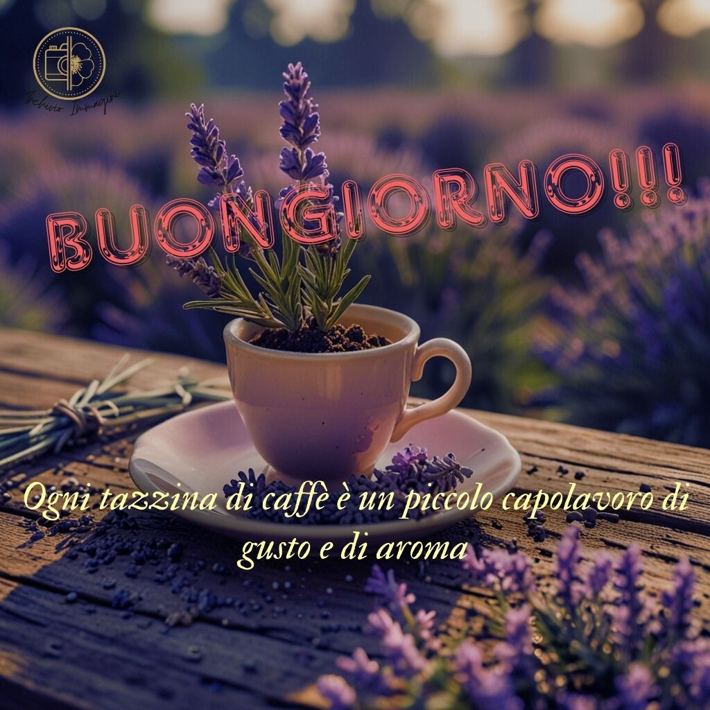 immagini buongiorno con fiori di lavanda 31