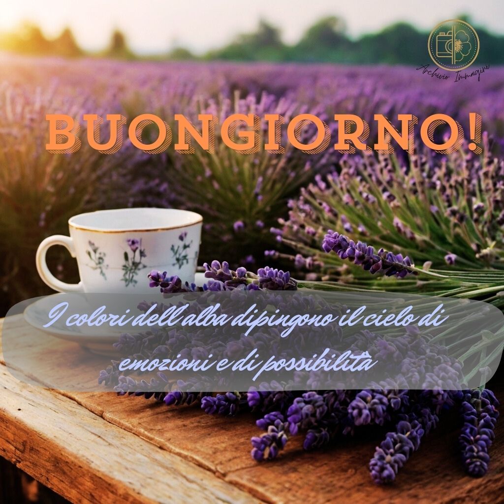 immagini buongiorno con fiori di lavanda 8