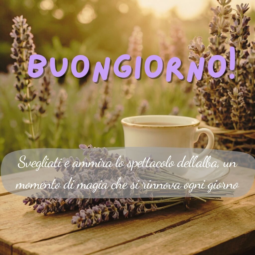 immagini buongiorno con fiori di lavanda 9