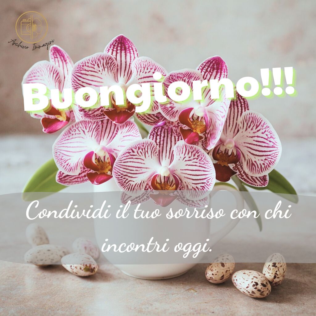 immagini buongiorno con orchidee 31