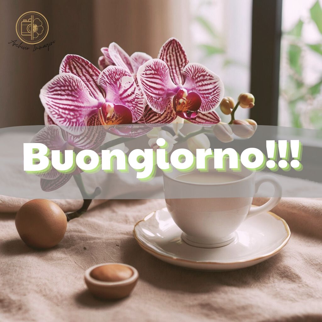 immagini buongiorno con orchidee 32