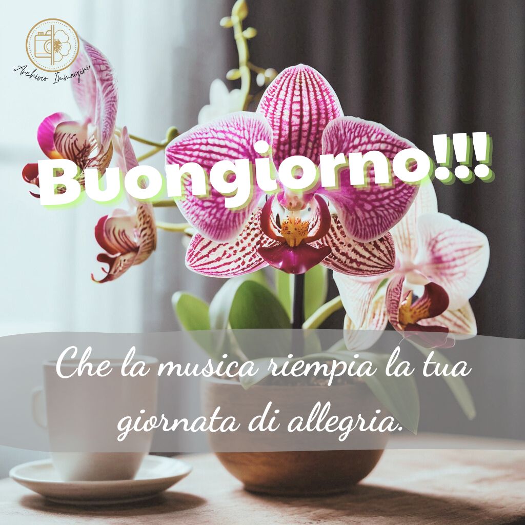 immagini buongiorno con orchidee 33