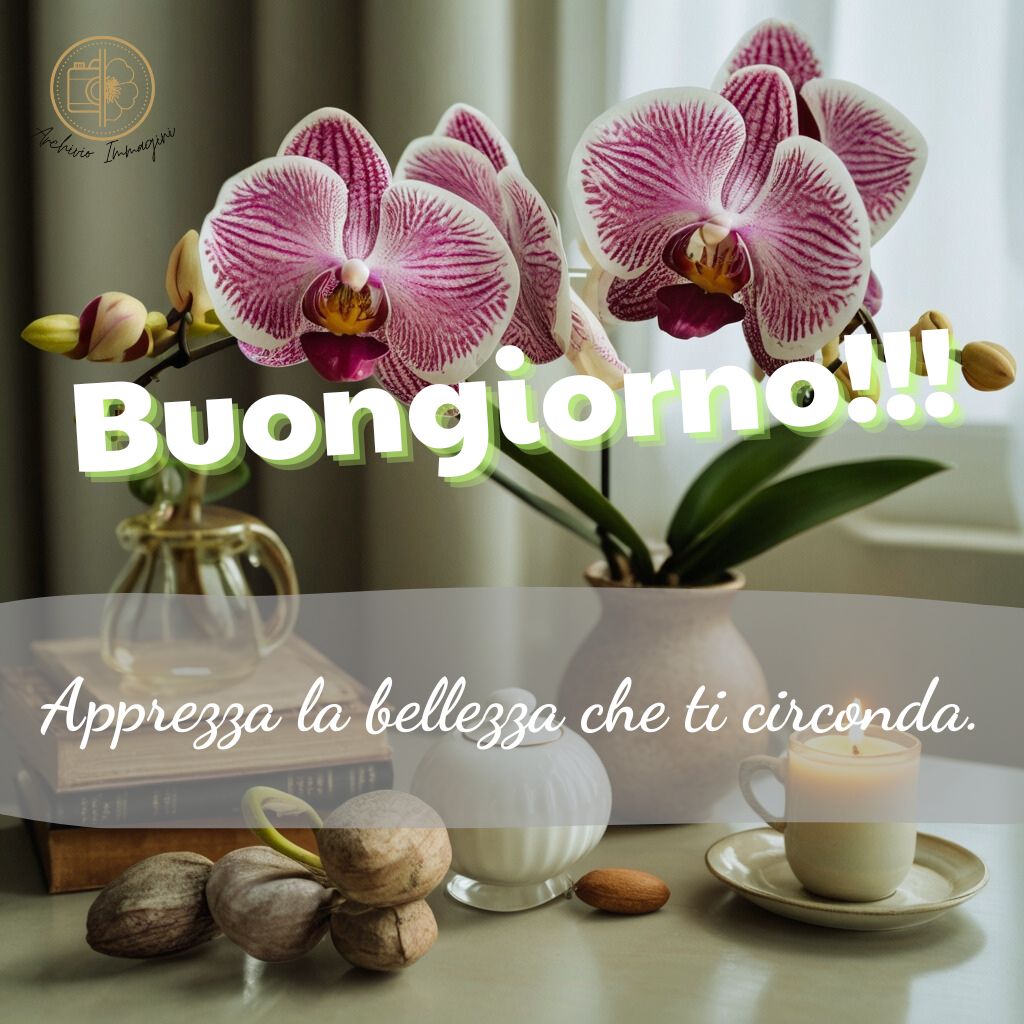 immagini buongiorno con orchidee 34