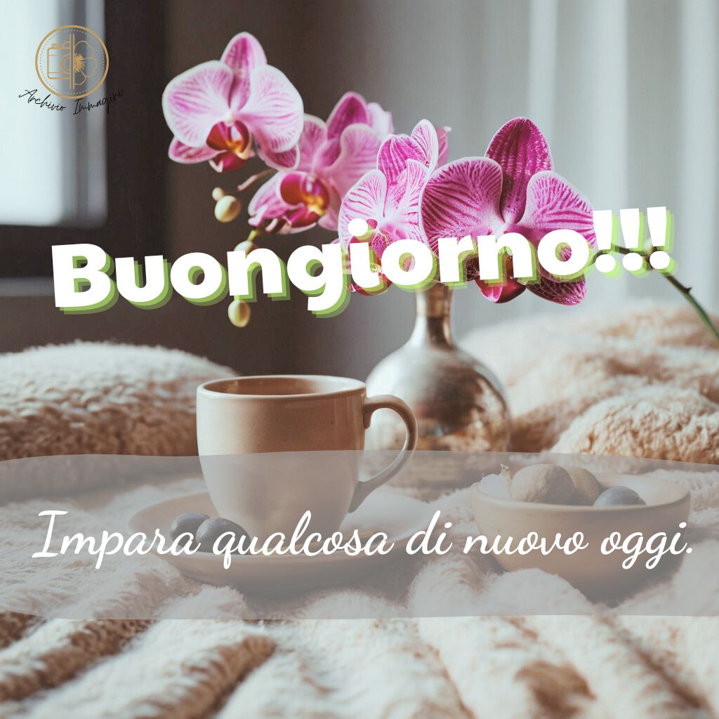 immagini buongiorno con orchidee 35